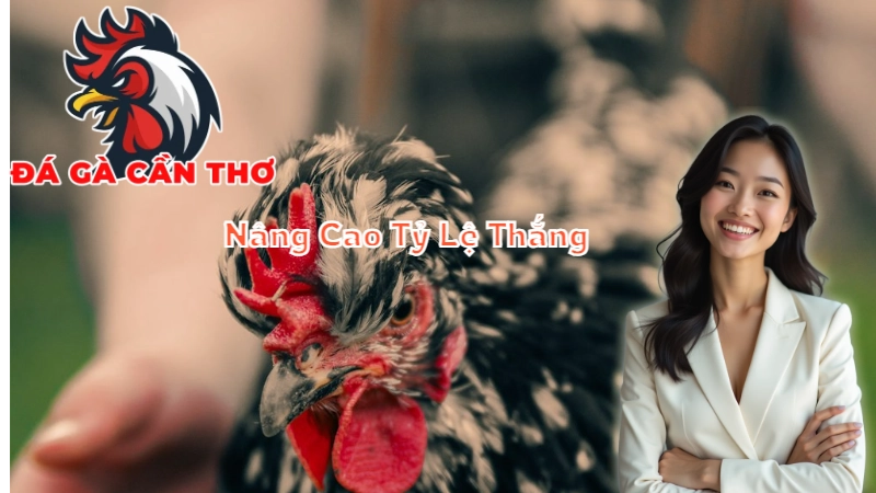 Phân Tích Kết Quả Cá Cược Để Nâng Cao Tỷ Lệ Thắng 2024