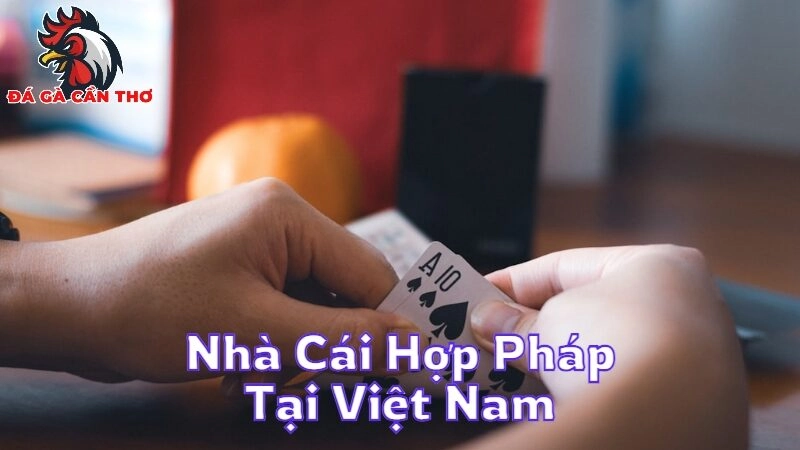 Khám Phá Các Nhà Cái Hợp Pháp Tại Việt Nam