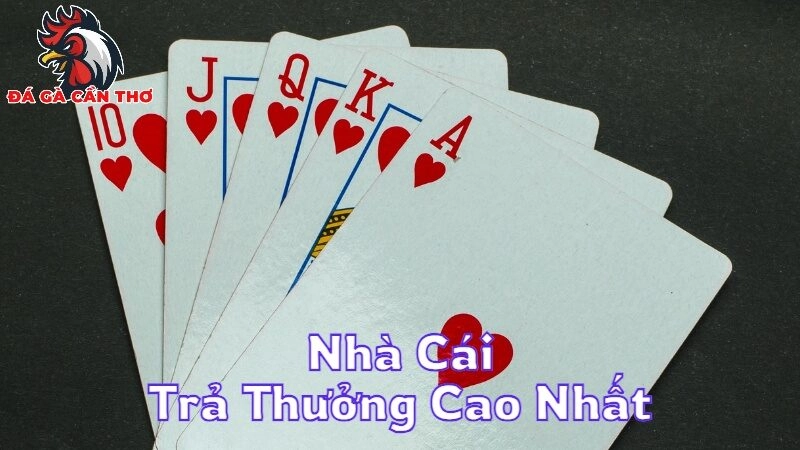 Nhà Cái Trả Thưởng Cao Nhất Mà Bạn Nên Biết