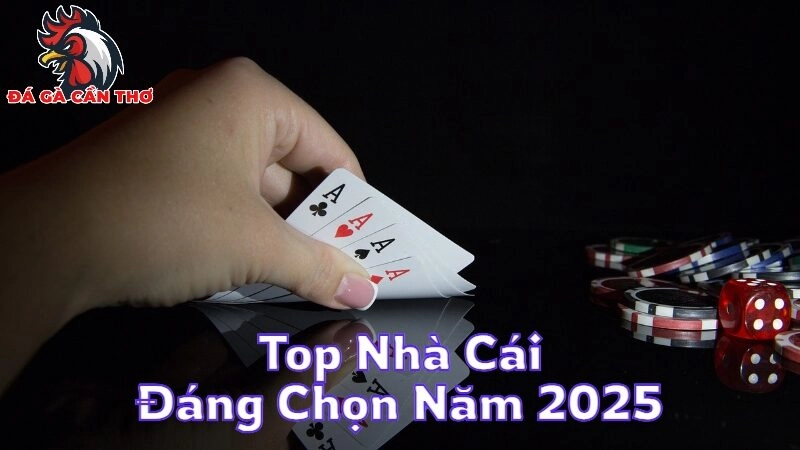 Top Nhà Cái Đáng Chọn Lựa Trong Năm 2025